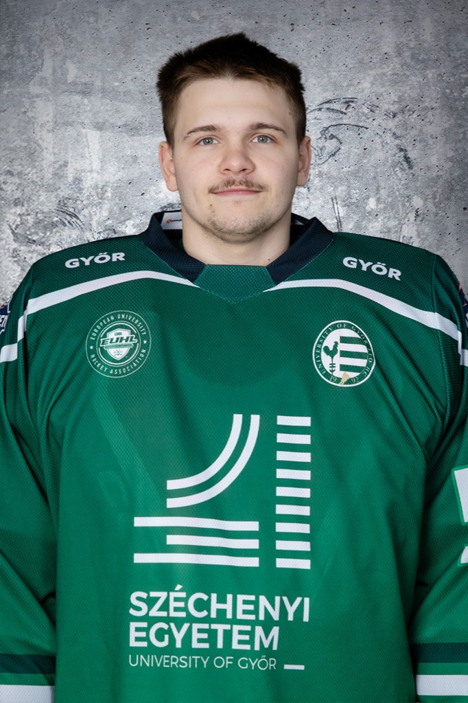 Sági Máté